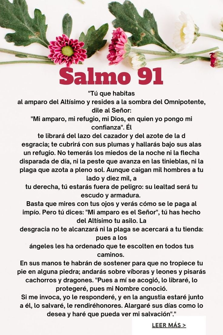 salmo 91 catolico