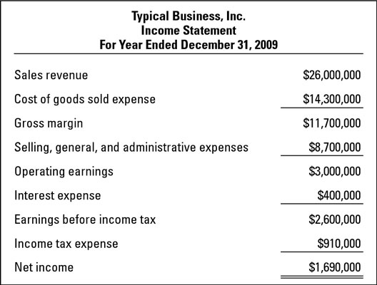 What Does an income statement example Look Like?