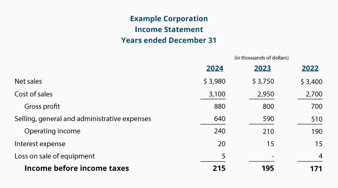 What Does an income statement example Look Like?